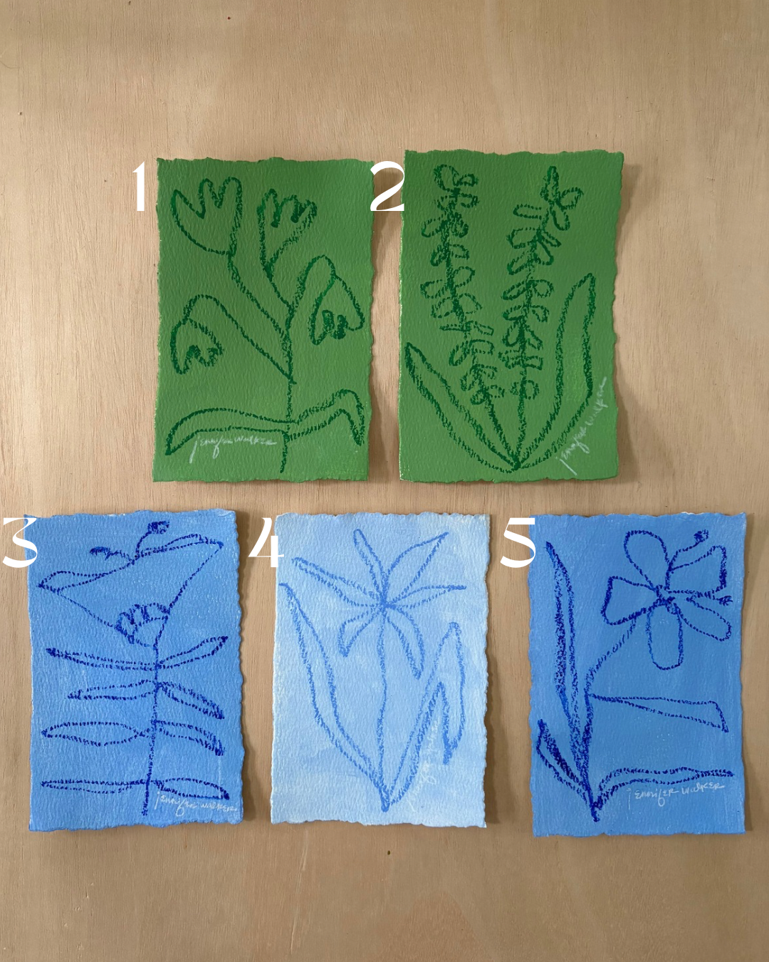 Flower Studies #2